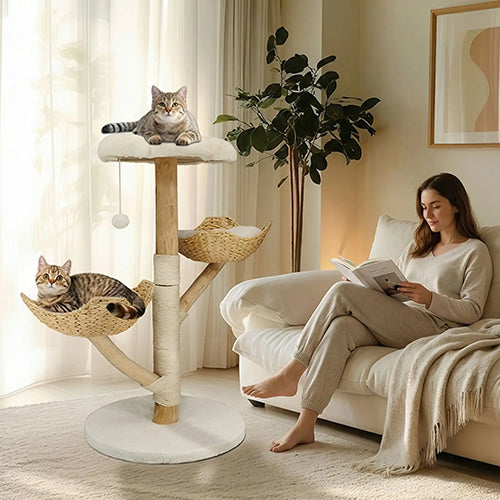 arbre-a-chat-naturel-design-devant-une-femme-sur-le-canape