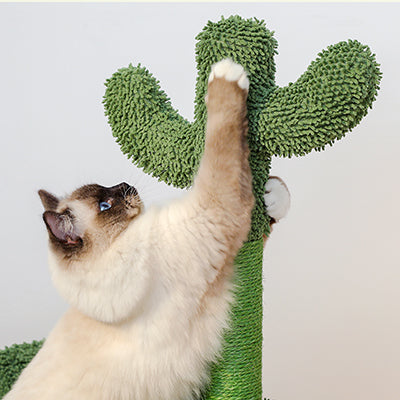 arbre-a-chat-petit-espace-chat-qui-gratte-sur-poteau