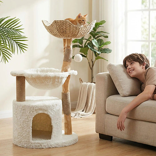 arbre-a-chat-scandinave-avec-garcon-sur-canape