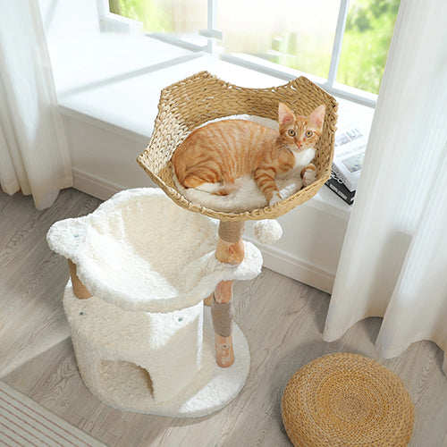 arbre-a-chat-scandinave-chat-qui-est-dans-le-panier