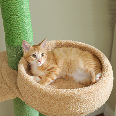 arbre-achat-cactus-multi-niveaux-chat-dans-le-hamac