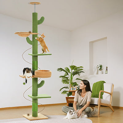 arbre_a_chat_cactus_multi_niveaux_dans_le_salon