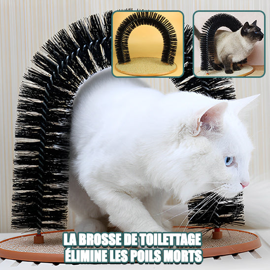 arc-de-jouet-chat-toilette