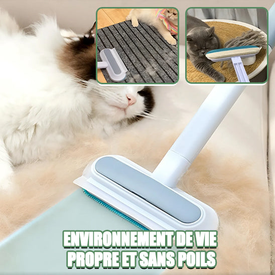 brosse-chat-attrape-poil-sol