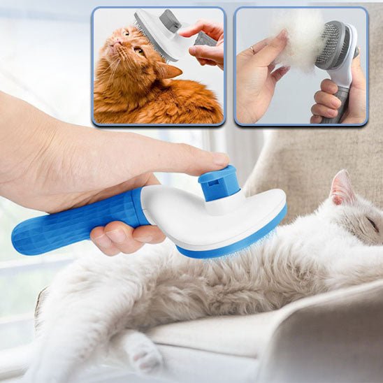 Brosse chat pour poils longs et courts - Chat Filou