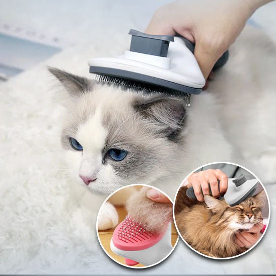 Brosse chat pour poils longs et courts - Chat Filou