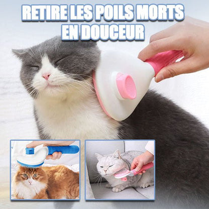 Brosse chat pour poils longs et courts - Chat Filou