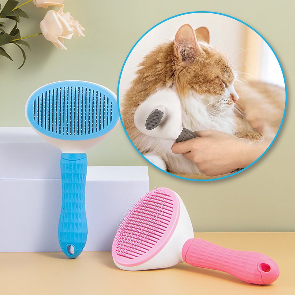 Brosse chat pour poils longs et courts - Chat Filou