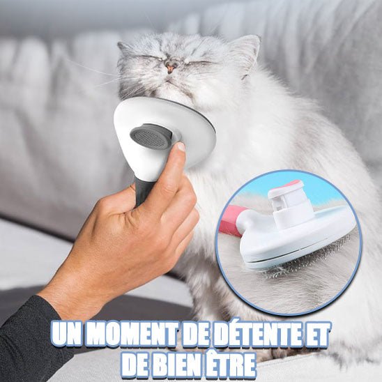 Brosse chat pour poils longs et courts - Chat Filou