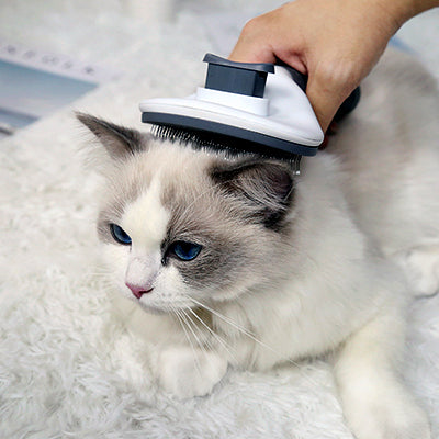brosse-chat-pour-poils-longs-et-courts-brosse-la-tete