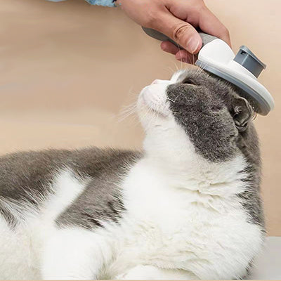 brosse-chat-pour-poils-longs-et-courts-brosse-le-haut-de-la-tete