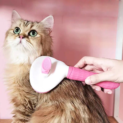 brosse-chat-pour-poils-longs-et-courts-regard-en-haut