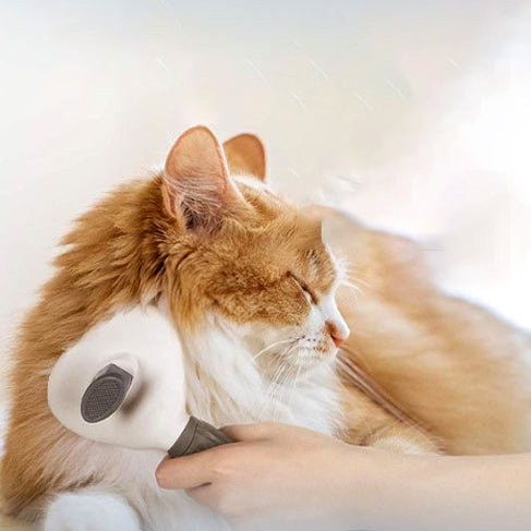 brosse-chat-pour-poils-longs-et-courts-relaxe