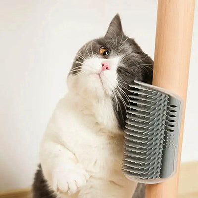 brosse-pour-chat-adore-se-brosser