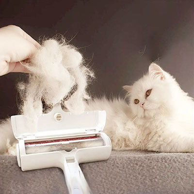 Brosse pour chat anti-poils