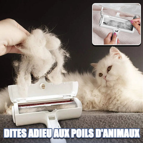 brosse-pour-chat-anti-poils-chat