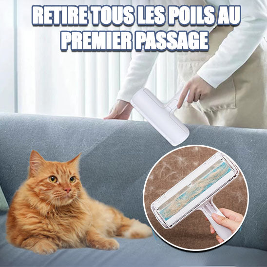 brosse-pour-chat-anti-poils-retire