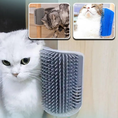 brosse-pour-chat-bien-etre