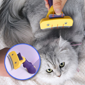 brosse-pour-chat-demelante-accueil