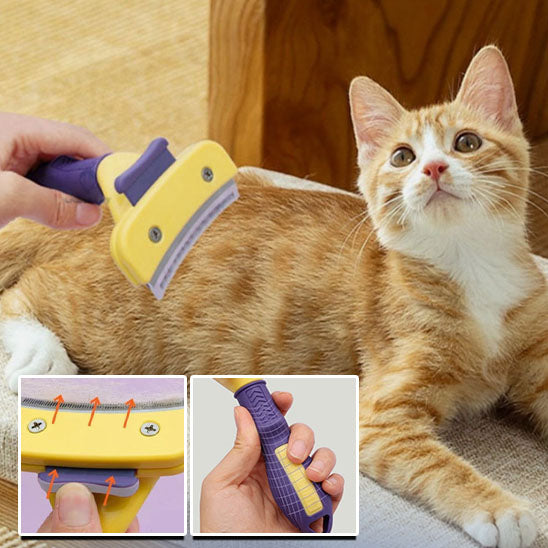 brosse-pour-chat-demelante-poigne