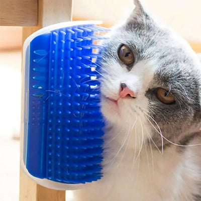 brosse-pour-chat-frotte-la-joue-et-les-babines