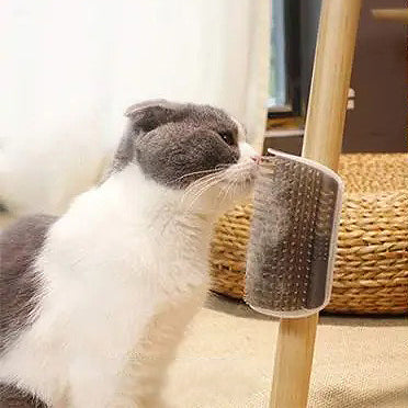 brosse-pour-chat-frotte-le-museau
