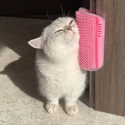 Brosse pour chat autonome