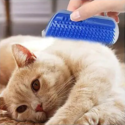 brosse-pour-chat-massage-avec-la-brosse-a-main