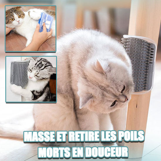 brosse-pour-chat-masse