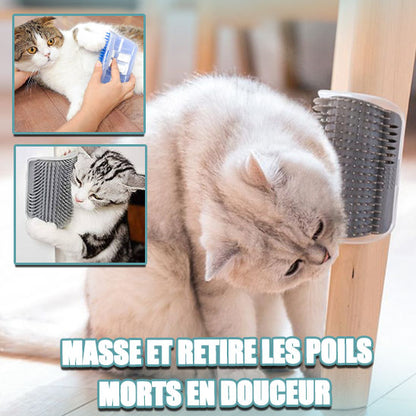 brosse-pour-chat-masse