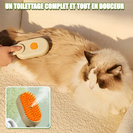 brosse-pour-chat-vapeur-complet