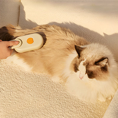 Brosse pour chat à vapeur