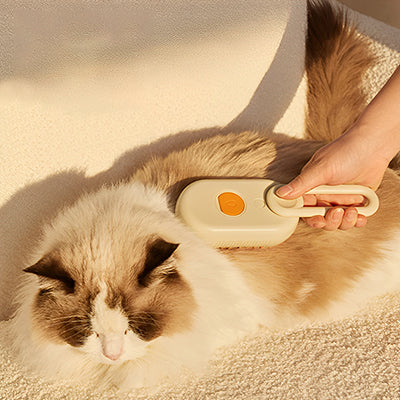 Brosse pour chat à vapeur