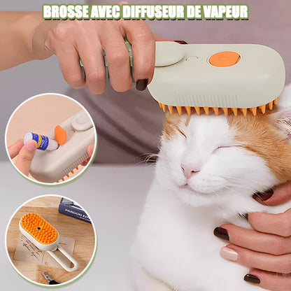 brosse-pour-chat-vapeur-tete