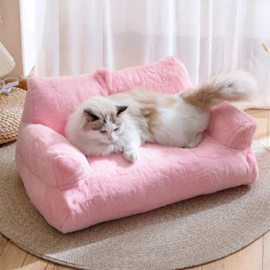 canape-pour-chat-de-salon-regarde-rose-sur-tapis