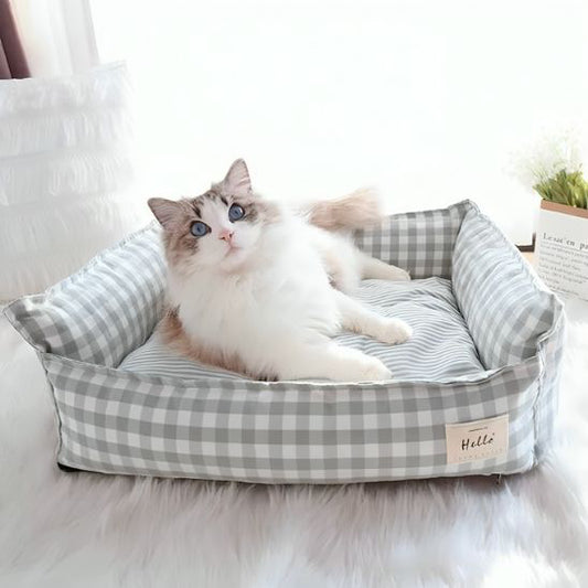 canape-pour-chat-vichy-surpris