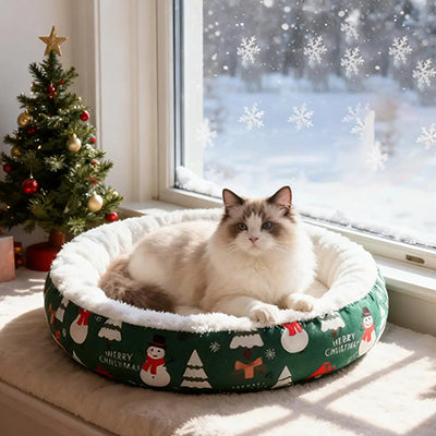 chat-panier-douillet-hivernal-pres-de-la-fenetre