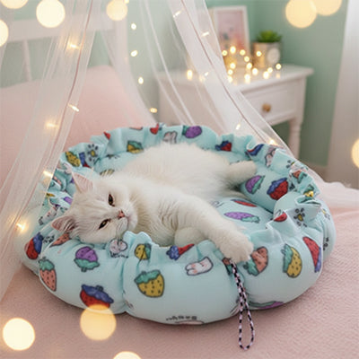 coussin-chat-persan-chambre