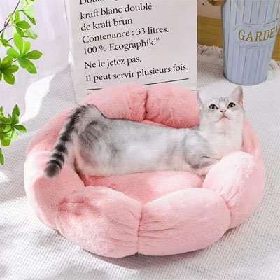coussin-pour-chat-allonge