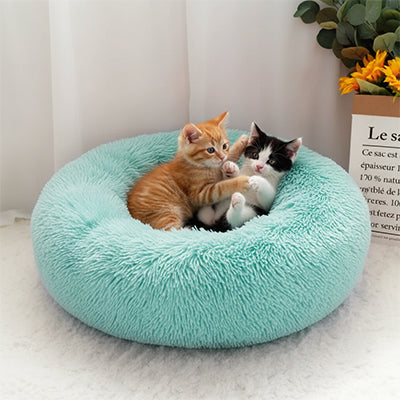 coussin-pour-chat-deux-bebe