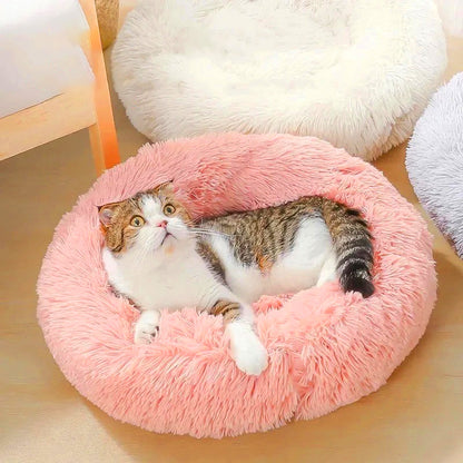 Coussin pour chat | COSYCAT™