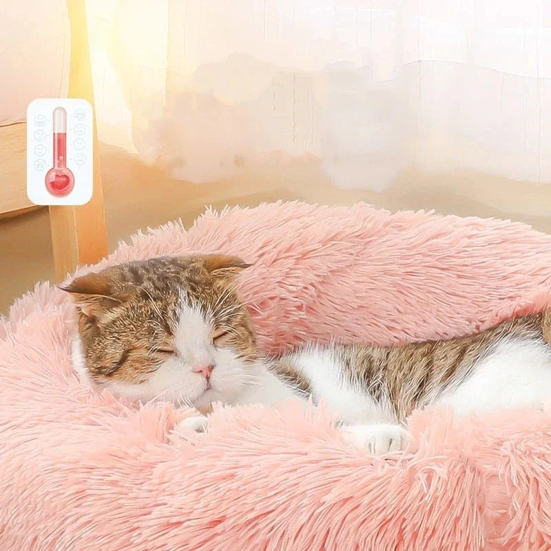 Coussin pour chat | COSYCAT™