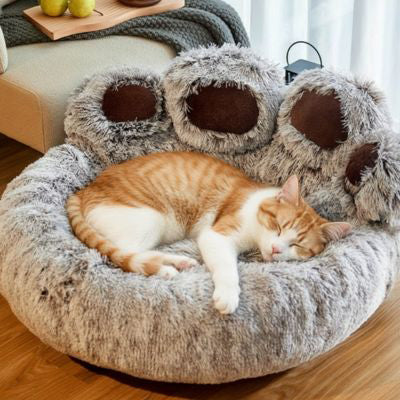 coussin_chat_patte_d_ours_chat_roux