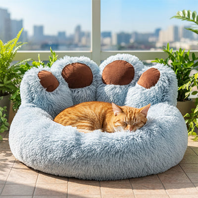 coussin_chat_patte_d_ours_chat_roux_terrasse