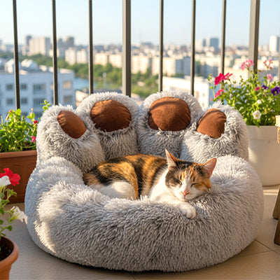 coussin_chat_patte_d_ours_chat_tigre_terrasse