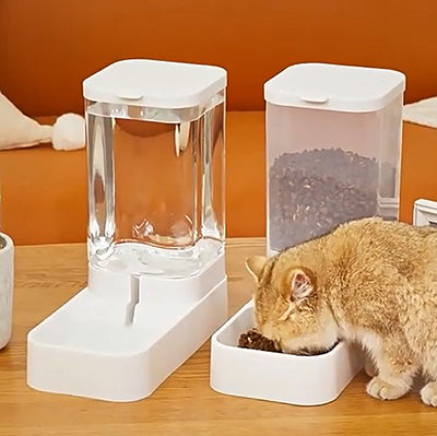 distributeur-de-croquettes-chat-transparent-accueil