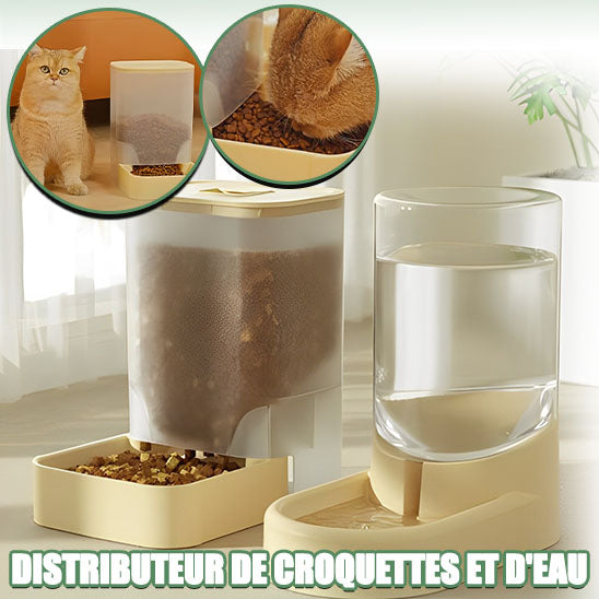 distributeur-de-croquettes-et-eau