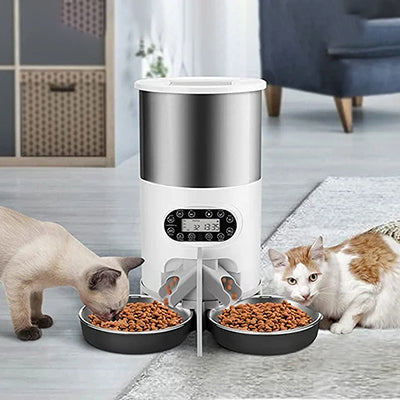 distributeur-de-croquettes-intelligent-deux-chats-qui-mangent-ensemble