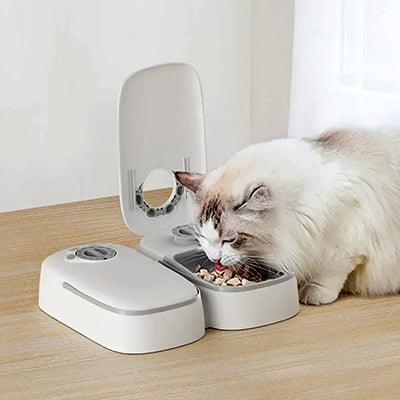 distributeur-de-croquettes-pour-chat-automatique-deguste