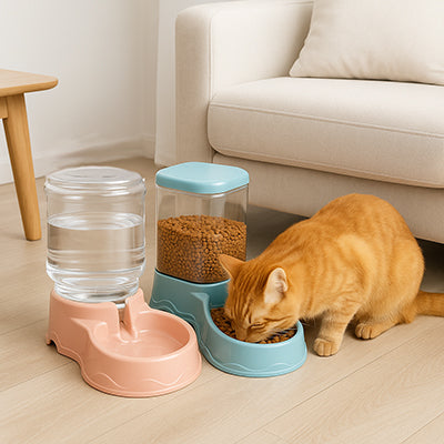 distributeur-de-croquettes-pour-chat-grande-taille-avec-chat-dans-le-salon